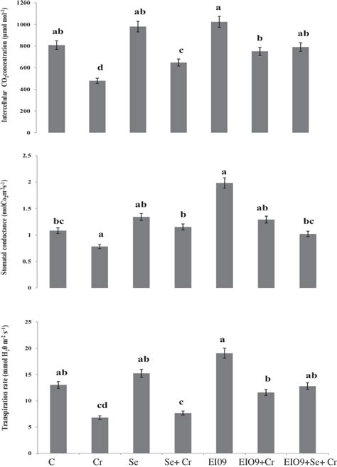 Effect Of Se And EIO9 On Stomatal Conductance Intercellular CO2