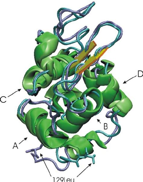 Overlay Of The Hen Egg White Lysozyme Crystal Structure And The