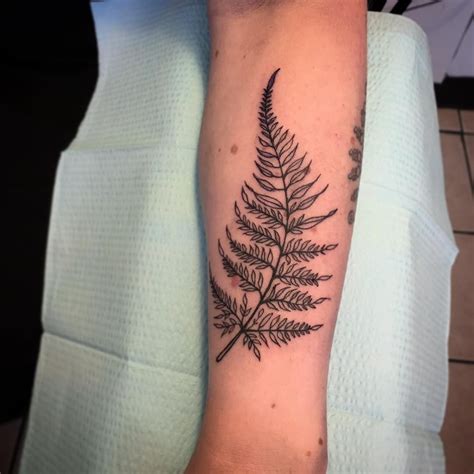 Fern Tattoo Growth In Difficult Fern Tattoo Picture Tattoos