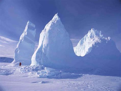 Desierto Polar Caracter Sticas Flora Fauna The Free Nature