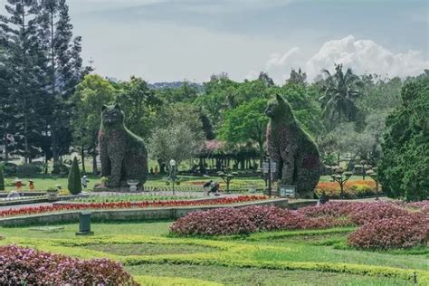 Tempat Wisata Di Puncak Bogor Yang Cocok Untuk Liburan Bareng