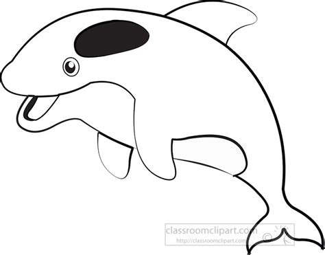 Orca Outline