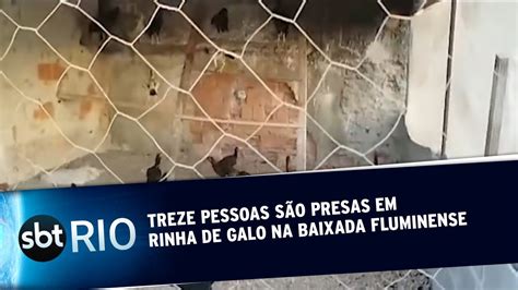 Treze pessoas são presas em rinha de galo na Baixada Fluminense YouTube