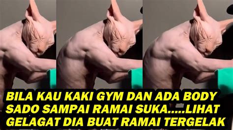 BILA KAU KAKI GYM DAN ADA BODY SADO SAMPAI RAMAI SUKA LIHAT GELAGAT DIA