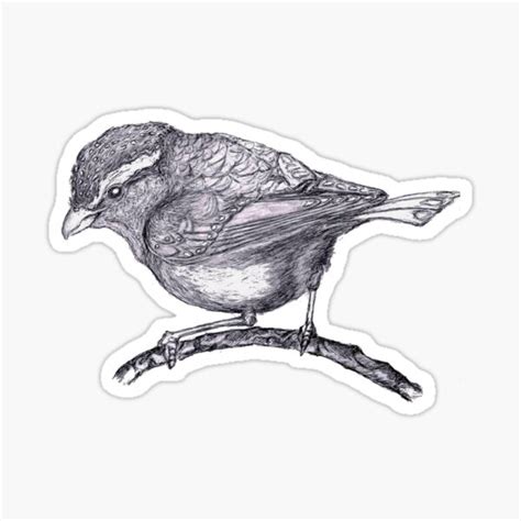 Spotted Pardalote Sticker By Gordostudio Redbubble