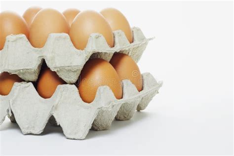 Fresh Eggs In Cartons Stock Photo Image Of Package Object 19328898