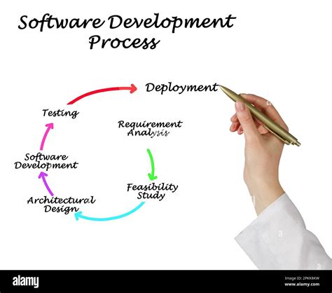 Components Of Software Development Process Stock Photo Alamy