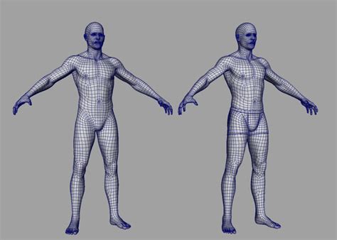 Modelo 3d Cuerpo Humano Masculino TurboSquid 964746