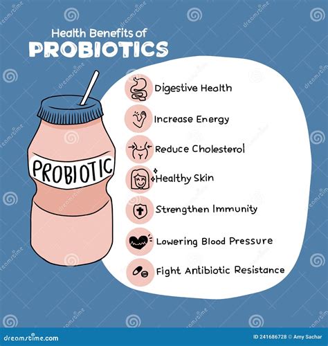 Beneficios De Salud De Probióticos Infografía Ilustración Del Vector