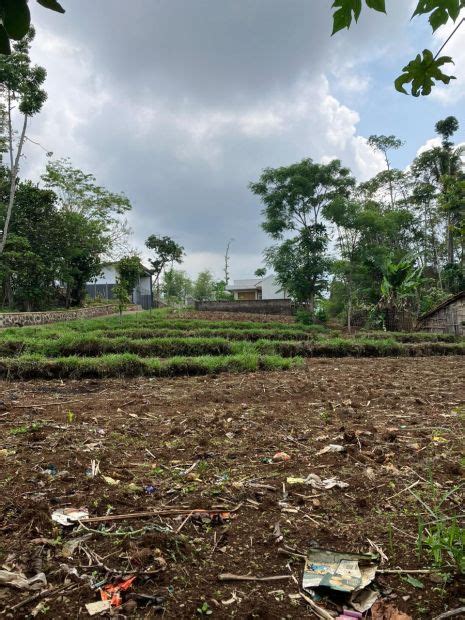 Murah Tanah Hook Di Tanjungsari Cocok Untuk Cluster Perumahan