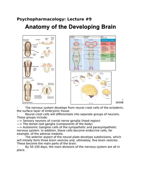 Psychopharmacology Lecture 9 Psychopharmacology Lecture The