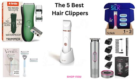 The 5 Best Hair Clippers | Women & Men | by Omorfaruque | Mar, 2024 ...