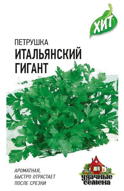 ЗЕЛЕНЬ ПЕТРУШКА