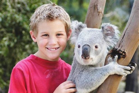 Cuddle-close-to-a-koala-at-Featherdale-Wildlife-Park - Alpha Hotel ...