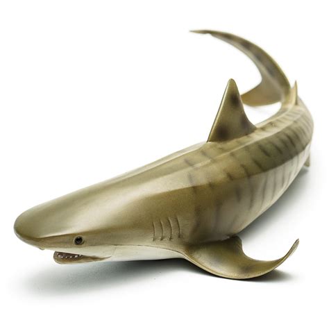 Tiger Shark Toys