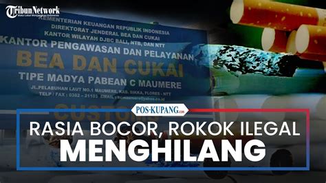 Rasia Bea Cukai Maumere Bocor Rokok Ilegal Menghilang Dari Pasaran Di