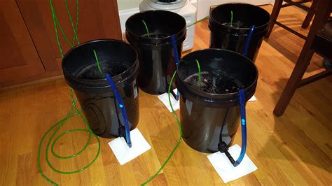 I Built A Dwc System With Water Level Indicators Of My Bulkhead