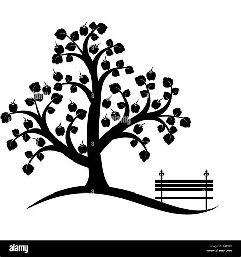 Apple tree isolated on white Stock Photo - Alamy