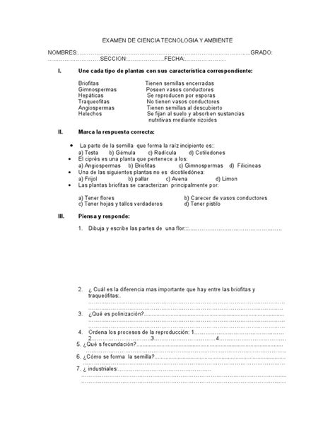 PDF EXAMEN De Reino Vegetal DOKUMEN TIPS