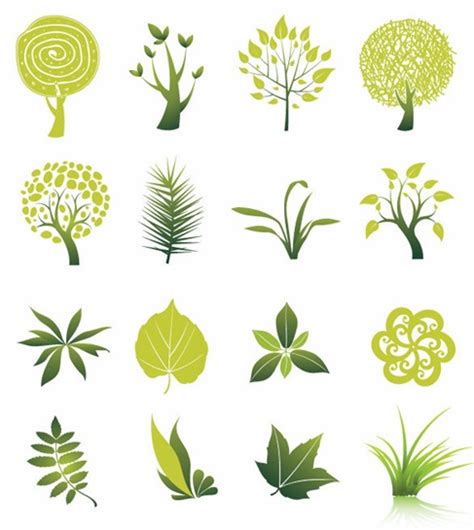tree  leaf vector set vector    freeimages