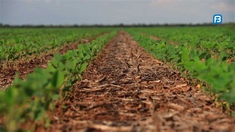 Encontro Nacional Sistema Plantio Direto Destaca Agricultura