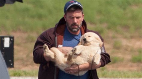 Ben Affleck Dog - Ben Affleck Holding Puppy in Atlanta | Photos ...