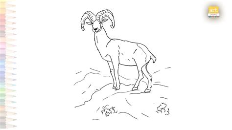 Sierra Nevada Bighorn Ram Drawing Video Bighorn Ram Drawings How To