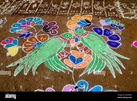 Rangoli Kolam Designs Images For Pongal