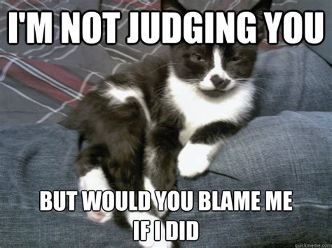 Adorable Pets Who Just Sit There Judge You Cuteness