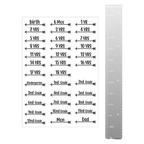 Clearance Sale Height Measurement Mirror Height Ruler Measuring Ruler