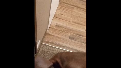 Unleashing Big Daddy Mac Pornhub Gay