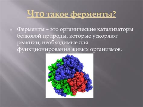 Ферменты презентация, доклад
