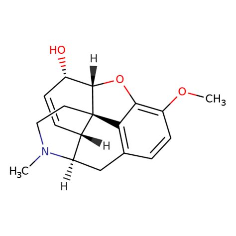 C Codeine Biosynth