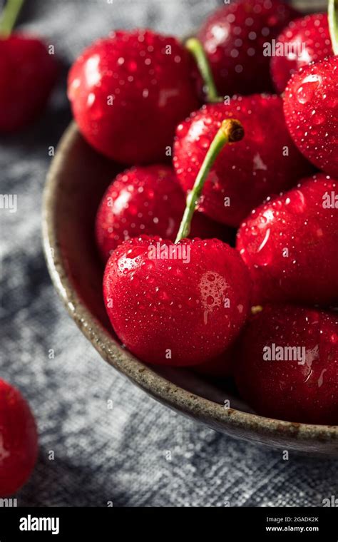 Healthy Organic Red Cherries In A Bowl To Eat Stock Photo Alamy