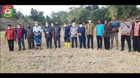 Penanaman Benih Jagung Pada Kebun Penangkaran Benih Di Desa Watukarere