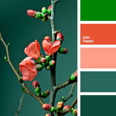 dark coral | Color Palette Ideas