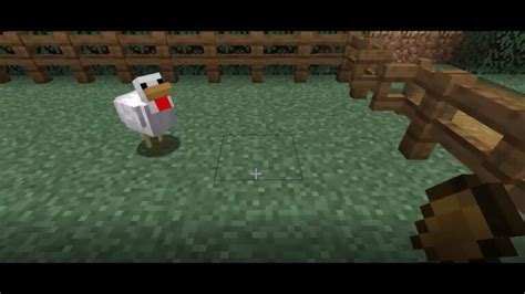 Descubre todo sobre la alimentación de los pollos en Minecraft