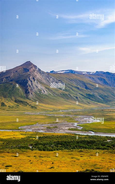 Arctic Tundra Landscape In Summer