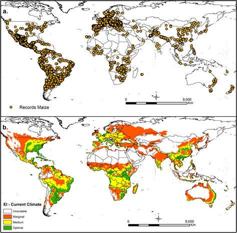 A The Current Global Distribution Of Maize Zea Mays L B The