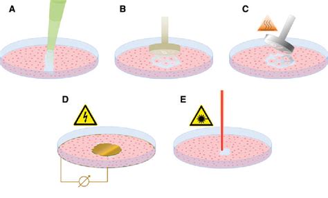 PDF In Vitro Wound Healing Assays State Of The Art Semantic Scholar