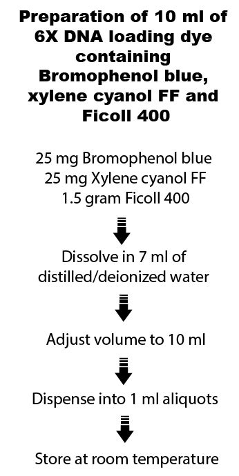 Preparation Of X Dna Loading Dye Bromophenol Blue Xylene Cyanol Ff