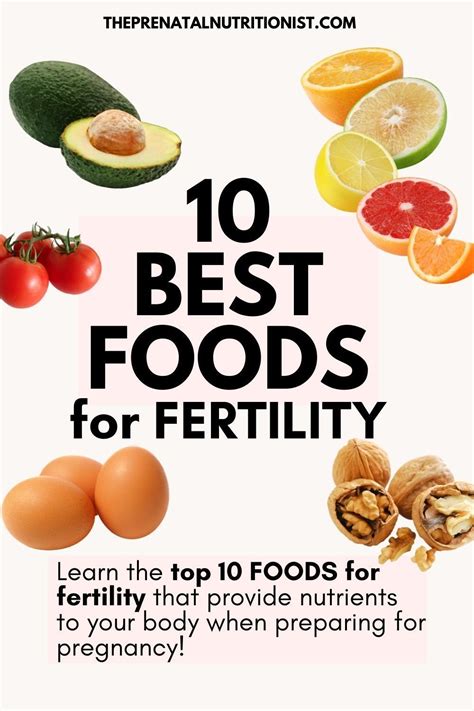 Foods That Promote Fertility Artofit