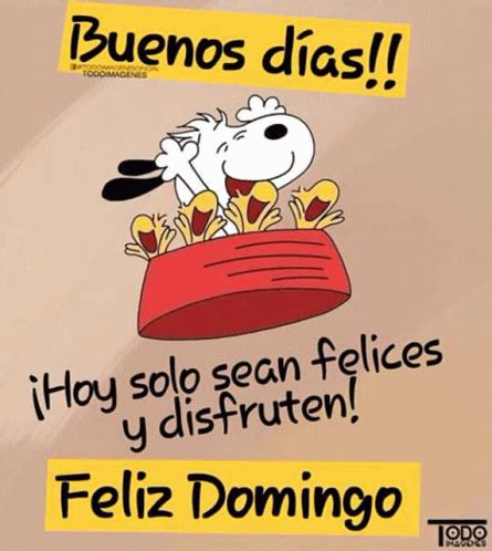 Buenos Dias Feliz Domingo Meme Buenos Dias Feliz Domingo Discover