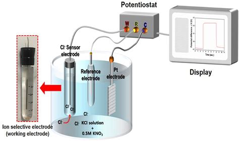 Frontiers Facial Fabrication And Characterization Of Novel Ag Agcl Chloride Ion Sensor Based