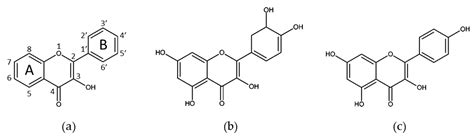 Molecules Free Full Text Bioactive Compounds And Metabolites From