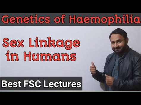 Genetics Of Haemophilia Sex Linkage In Humans Class Biology YouTube