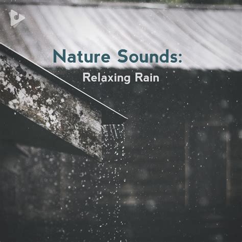 Nature Sounds Relaxing Rain Playlist Lullify