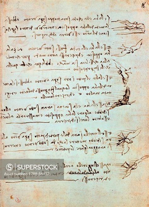 Codex On The Flight Of Birds By Leonardo Da Vinci Drawing