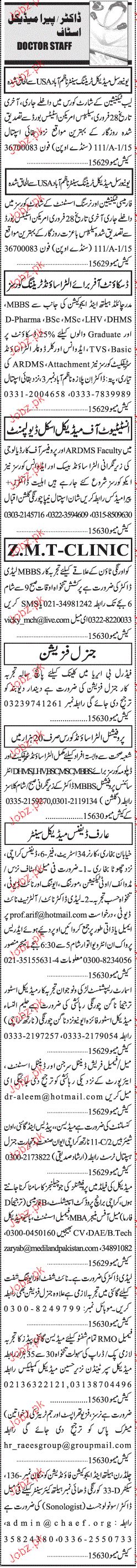 Doctors And Para Medical Staff Job Opportunity 2024 Job Advertisement