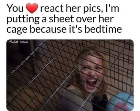 NWS Pics that make you :lol: every time you see them NWS | Page 5855 ...